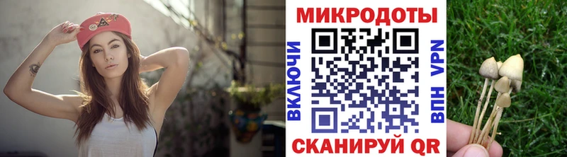 цены наркотик  Москва  Псилоцибиновые грибы мицелий 