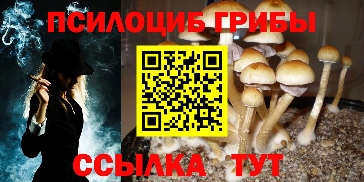 Москва  Псилоцибиновые грибы MAGIC MUSHROOMS  Вход с VPN  Псилоцибиновые грибы Magic Shrooms 