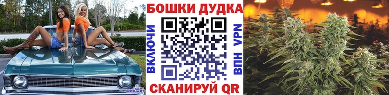 как найти наркотики  Москва  ссылка на мегу ССЫЛКА  Конопля Bruce Banner 